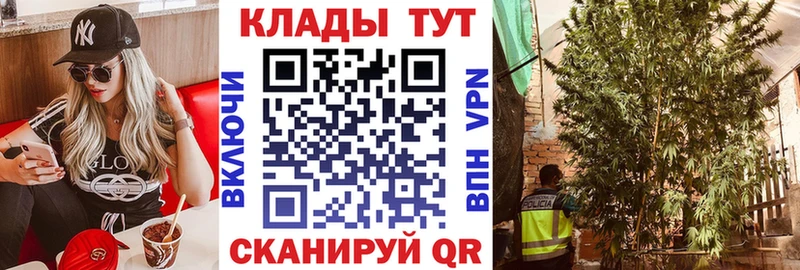 Купить наркотик Жирновск Галлюциногенные грибы  Вейп ТГК  ГАШИШ  АМФЕТАМИН  Меф мяу мяу 